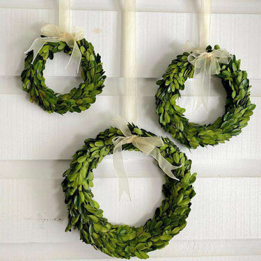 Boxwood Ring w/ Ribbon, 6